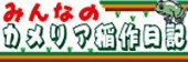 16-みんなのカメリア稲作日記